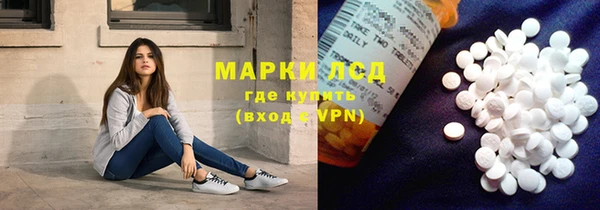 spice Богородицк