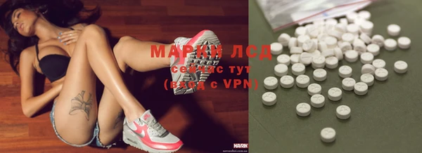 spice Богородицк