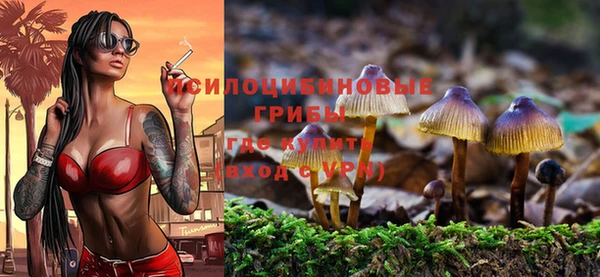 гидра Аркадак