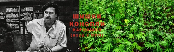 мдпв Струнино