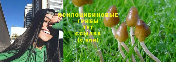 гидра Аркадак