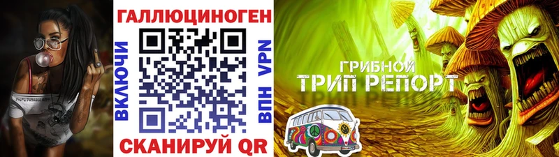 Галлюциногенные грибы Cubensis  Строитель 