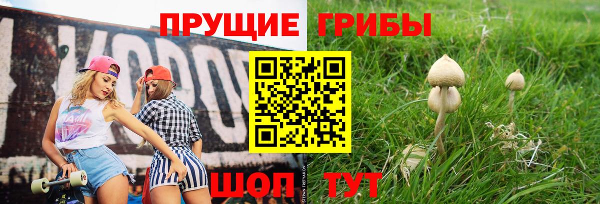 Строитель  Галлюциногенные грибы Cubensis  закладка  Вход с VPN 